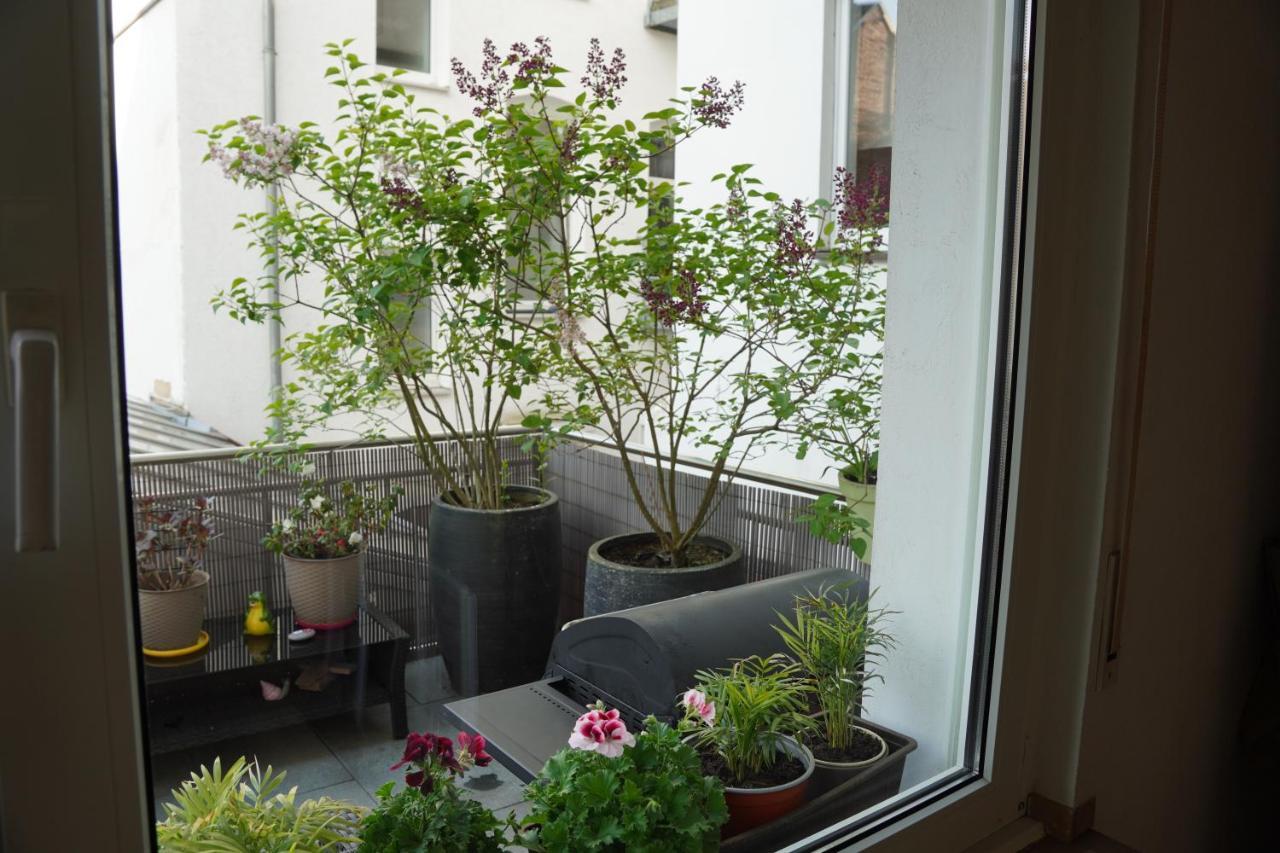 Bright, Spacious Apartment With A Lovely Terrace In The Heart Of Aachen Bagian luar foto